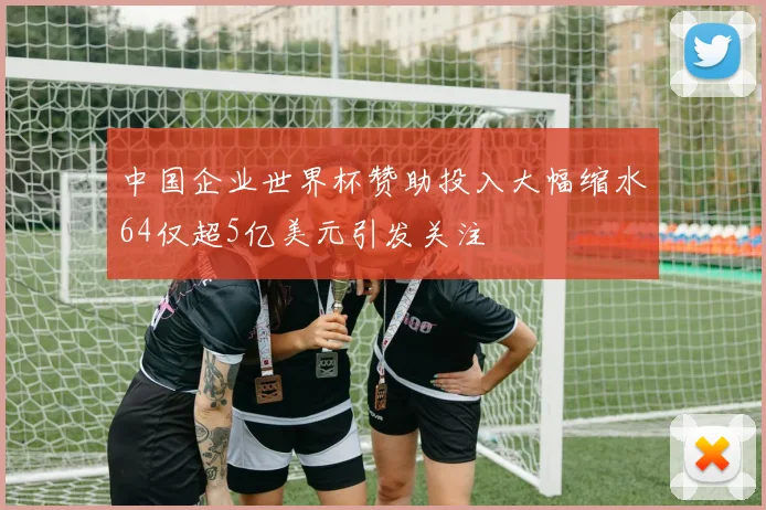 中国企业世界杯赞助投入大幅缩水64仅超5亿美元引发关注