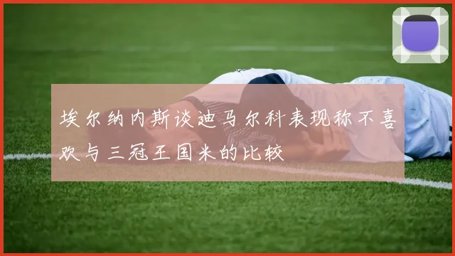 埃尔纳内斯谈迪马尔科表现称不喜欢与三冠王国米的比较